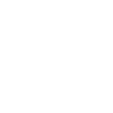 LIDERANTE - ICON 1 WHITE